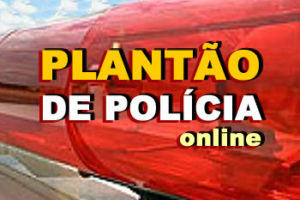 PLANTAO-DE-POLICIA-ONLINE2