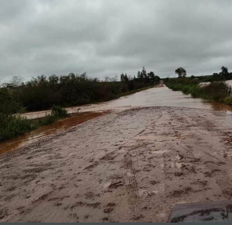 Acidente em estrada da Argentina mata 10 cavalos